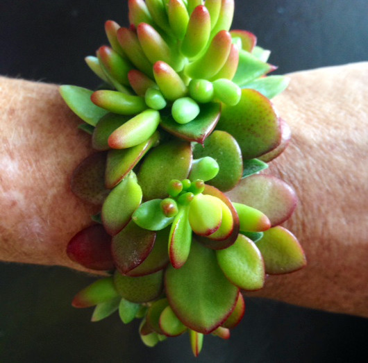 Studio Kate Floral - Succulent Bracelet